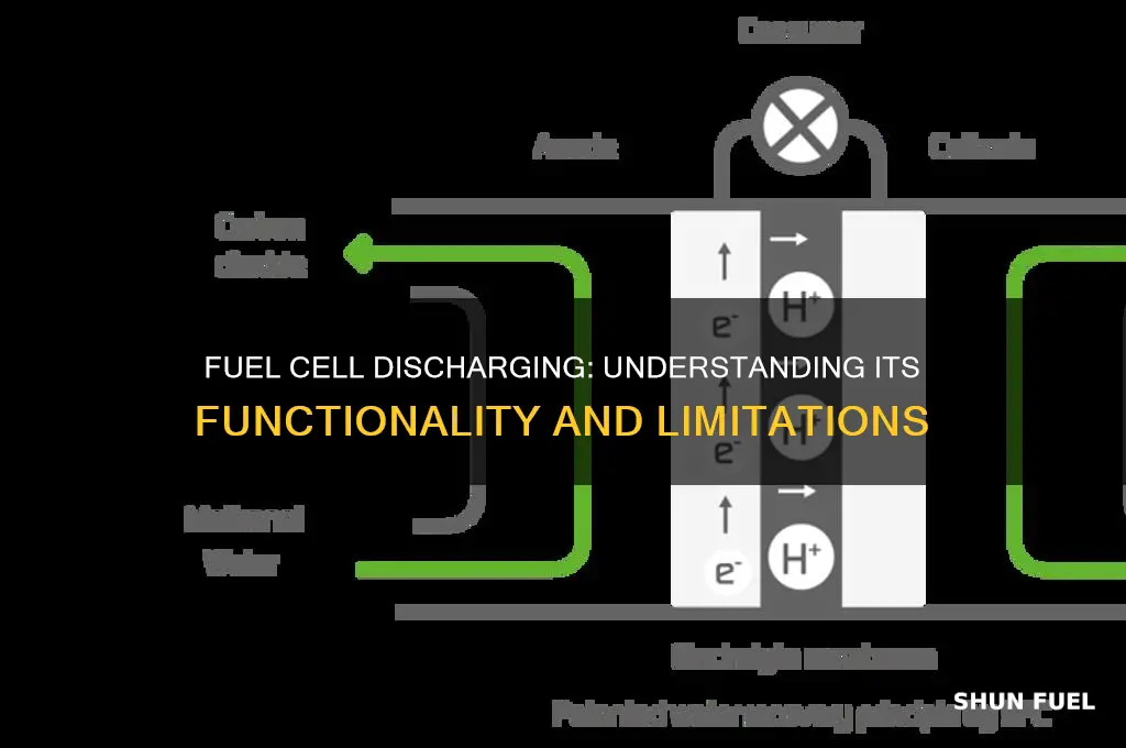 does fuel cell support discharging