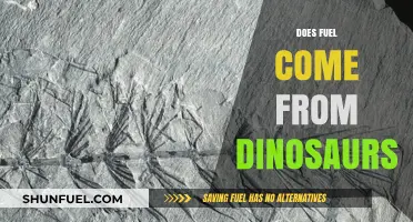 Does Fuel Really Come From Dinosaurs? Unraveling the Fossil Fuel Myth