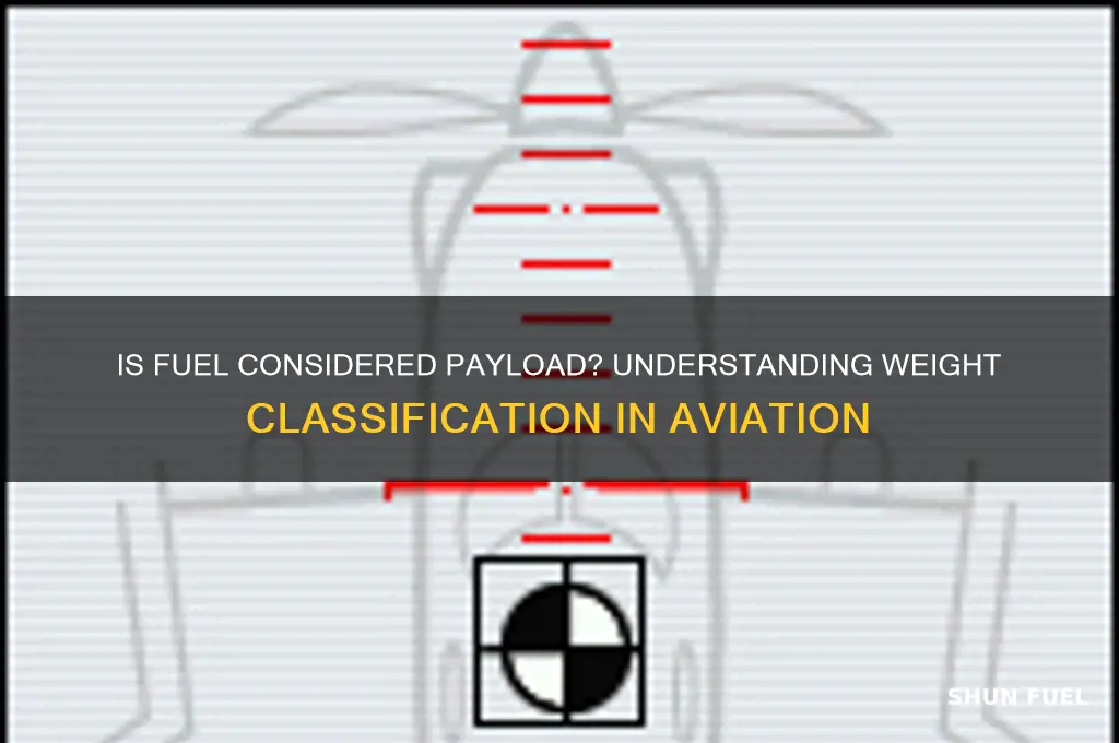 does fuel count as payload