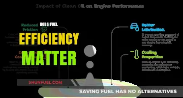 Does Fuel Efficiency Matter? Exploring Its Impact on Costs and Environment
