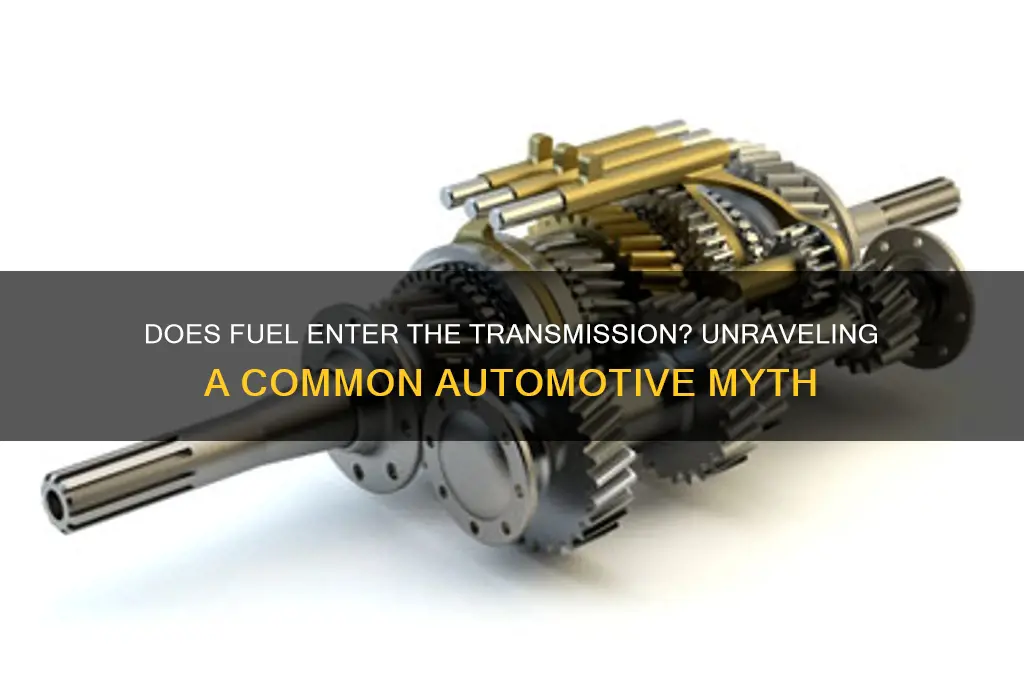 does fuel enter the transmission