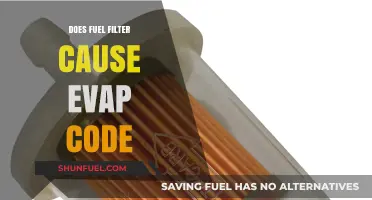 Fuel Filter and EVAP Code: Is There a Link?