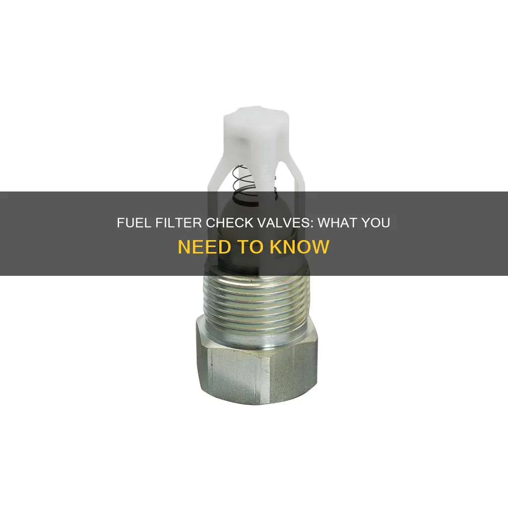 does fuel filter have a check valve in it