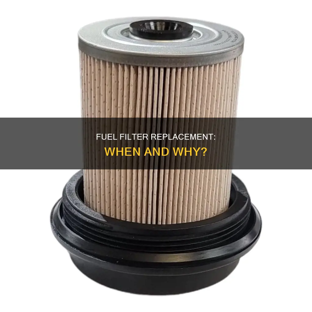 does fuel filter need to be replaced