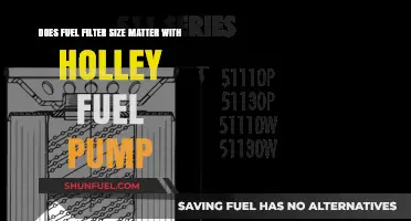 Fuel Filter Size: Holley Pump Compatibility