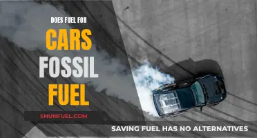 The Evolution of Car Fuel: Beyond Fossil Fuels