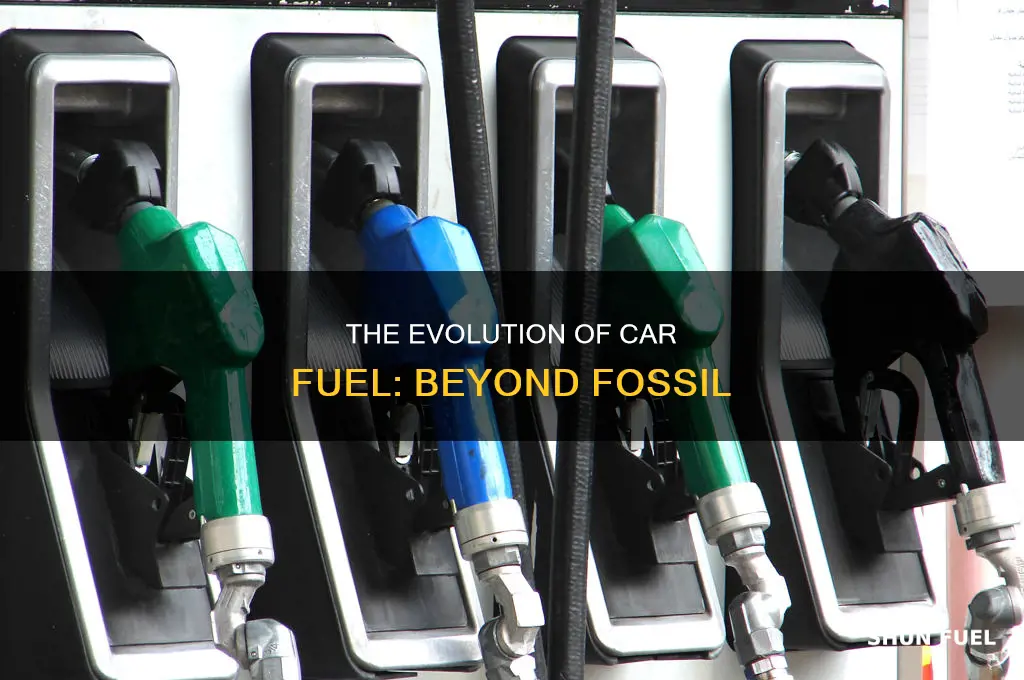does fuel for cars fossil fule