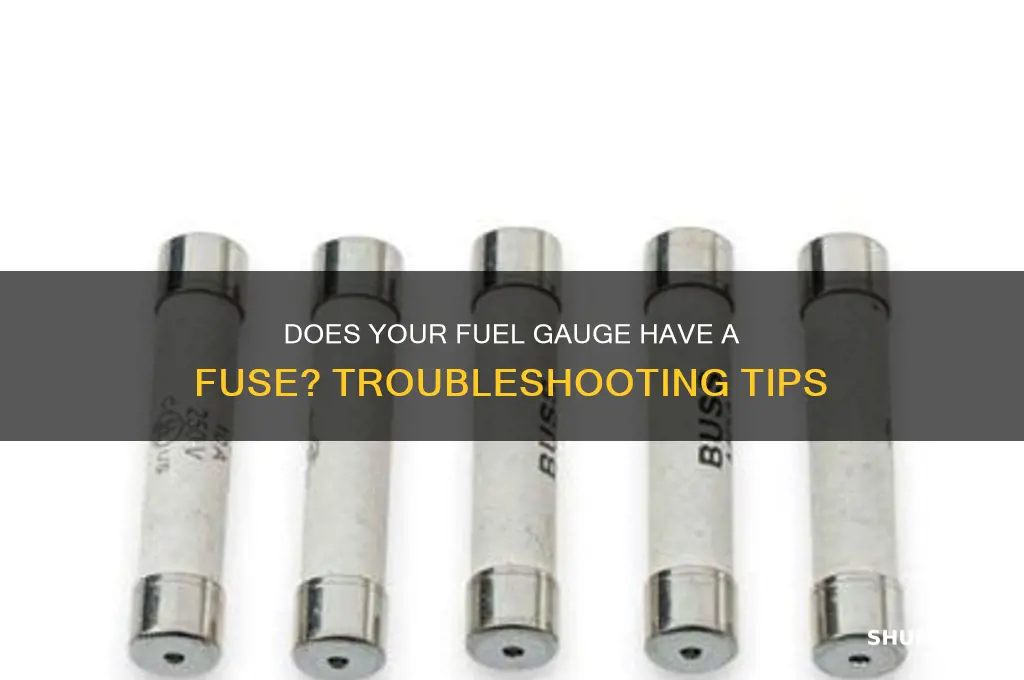 does fuel gauge have fuse