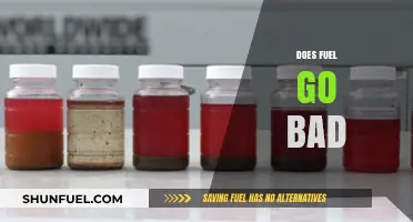 Does Fuel Expire? Understanding Gasoline Shelf Life and Storage Tips