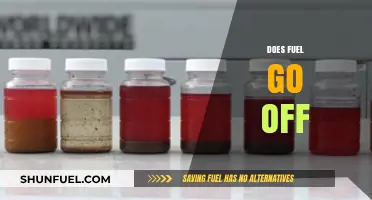 Does Fuel Expire? Understanding Gasoline Shelf Life and Storage Tips