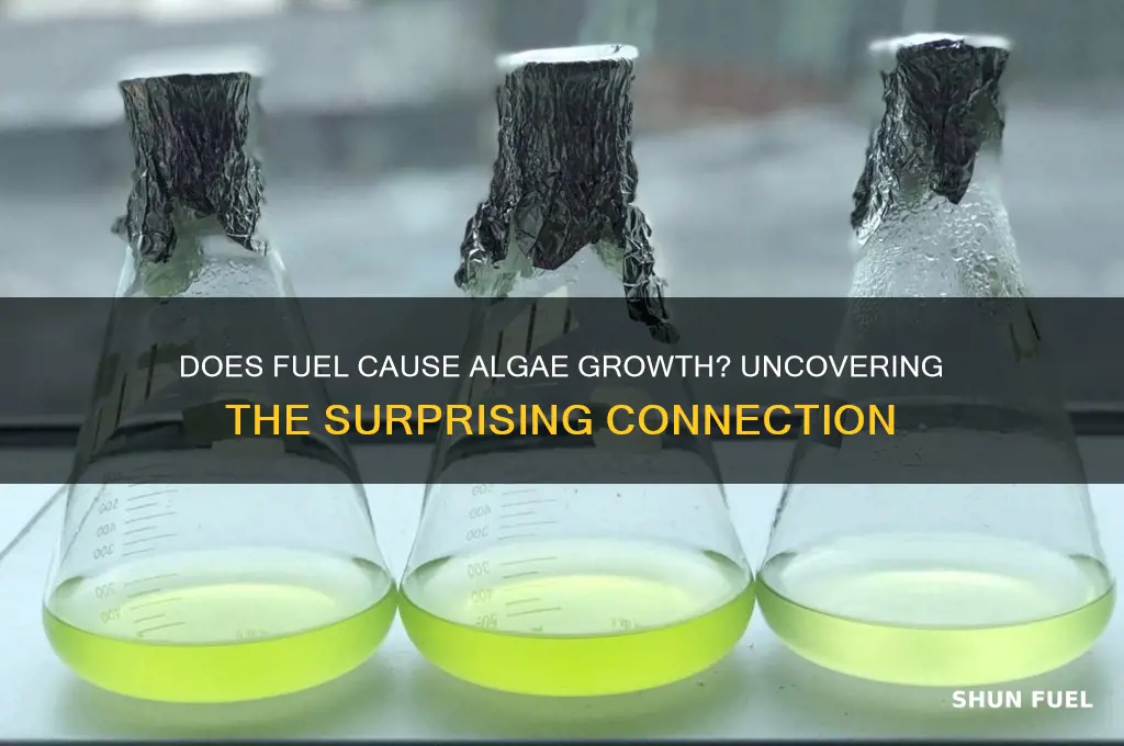 does fuel grow algae