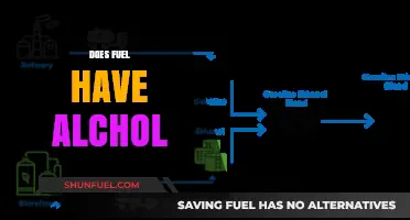 Does Fuel Contain Alcohol? Unveiling the Truth About Ethanol Blends