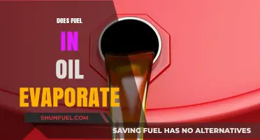 Does Fuel in Oil Evaporate? Understanding the Science Behind It
