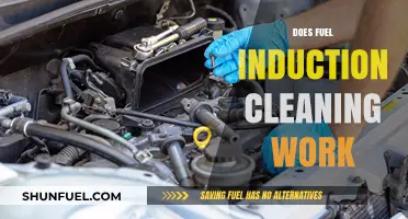 Does Fuel Induction Cleaning Really Improve Engine Performance?
