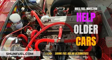 Fuel Induction: Can It Revive Older Cars' Performance?
