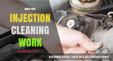 Does Fuel Injection Cleaning Really Improve Engine Performance?