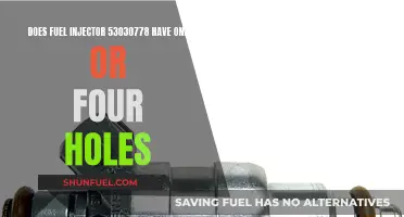 Fuel Injector 53030778: One or Four Holes?