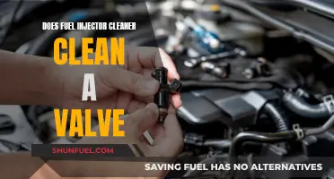 Fuel Injector Cleaner: Effective Solution for Cleaning Engine Valves?
