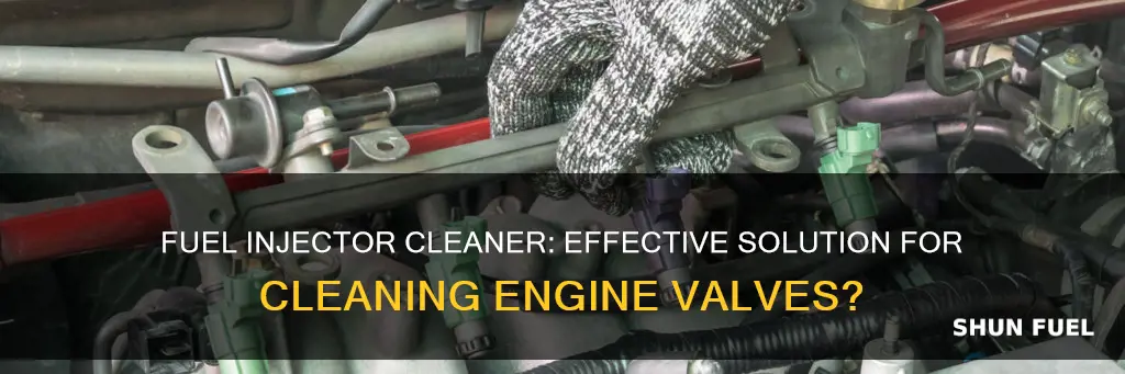 does fuel injector cleaner clean a valve