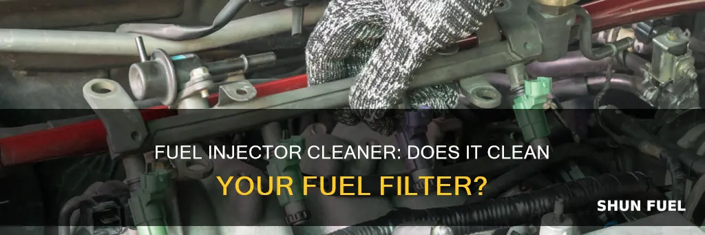 does fuel injector cleaner clean fuel filter