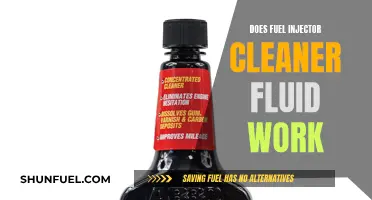 Fuel Injector Cleaner Fluid: Effective or Expensive Placebo?