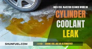 Fuel Injector Cleaner: Cylinder Coolant Leak Solution?