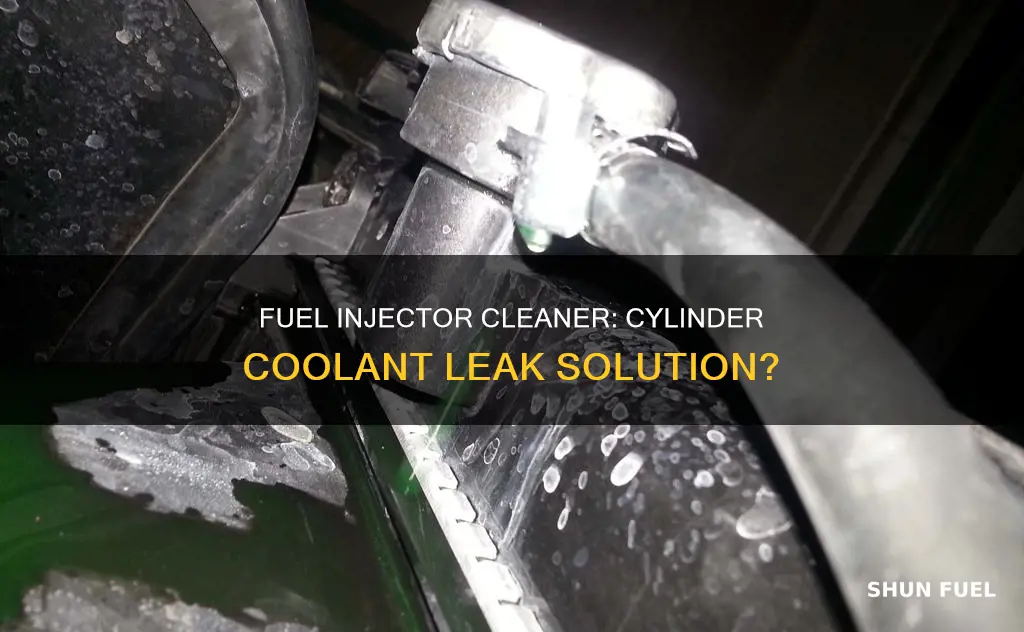 does fuel injector cleaner work on cylinder coolant leak