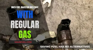 Fuel Injectors: Regular Gas and Longevity