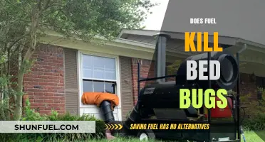 Does Fuel Kill Bed Bugs? Uncovering the Truth and Safer Alternatives