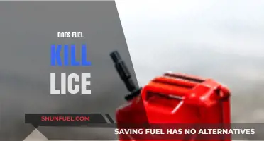 Does Fuel Kill Lice? Separating Fact from Fiction in Home Remedies
