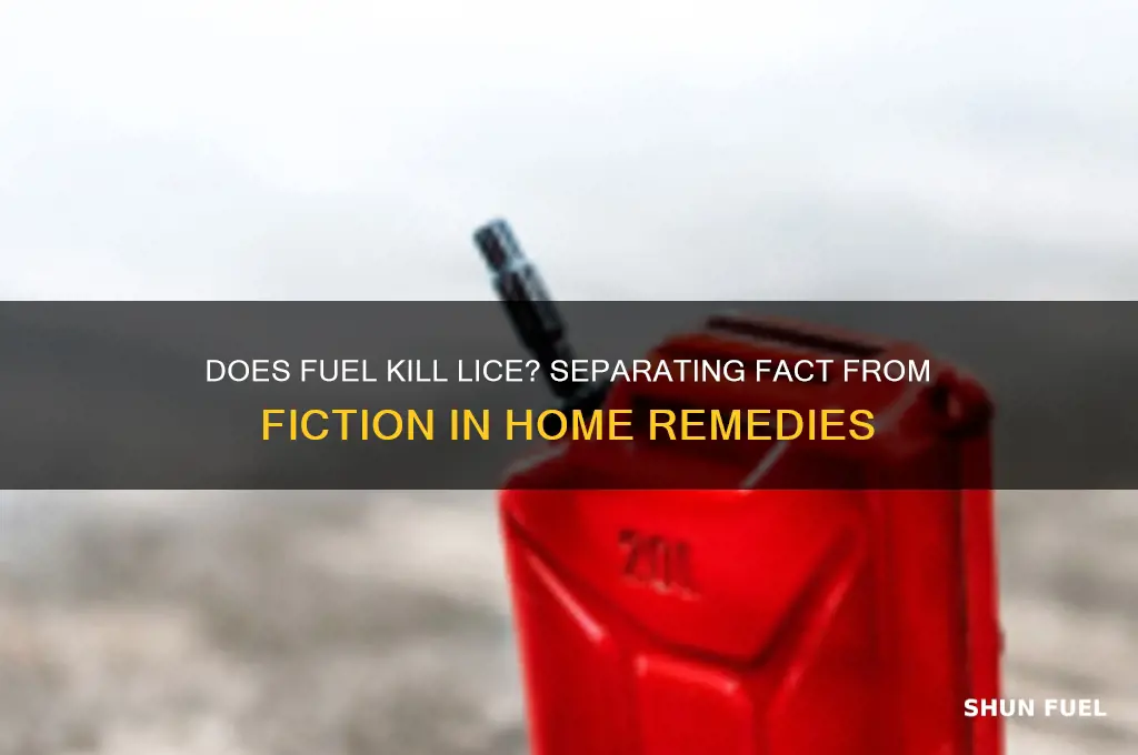does fuel kill lice