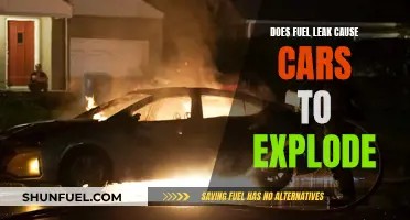 Fuel Leaks and Car Explosions: What's the Real Danger?
