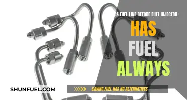 Fuel Line Issues: Injectors and the Lack of Fuel