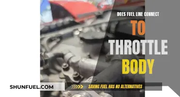 Fuel Line and Throttle Body: What's the Connection?