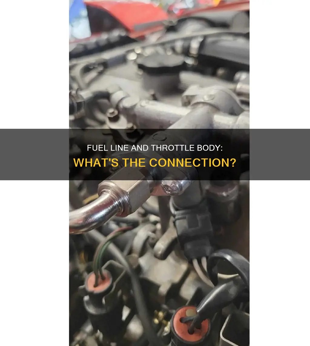 does fuel line connect to throttle body