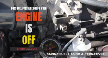 Fuel Pressure: Engine Off, Drop or Stable?