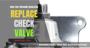 Fuel Pressure Regulator: Check Valve Replacement Necessity?