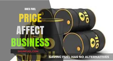 How Rising Fuel Costs Impact Businesses: Challenges and Strategies