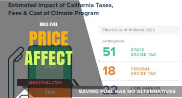 How Fuel Price Fluctuations Impact Economies, Industries, and Daily Life