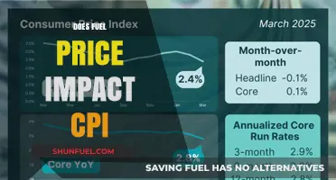 How Fuel Price Fluctuations Influence CPI: A Comprehensive Analysis