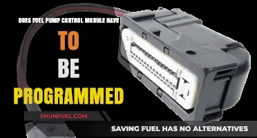 Does the Fuel Pump Control Module Require Programming?