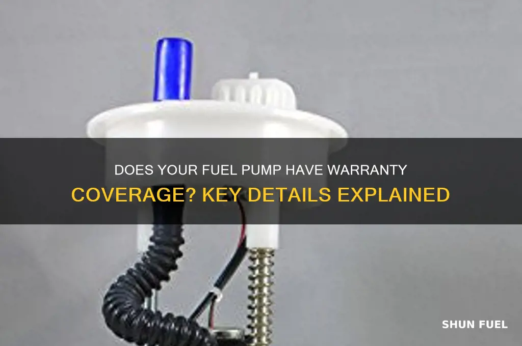 does fuel pump have warranty