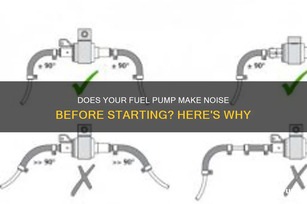 does fuel pump make noise before starting