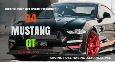 Cammed 94 Mustang GT: Fuel Pump Upgrade Necessary or Not?