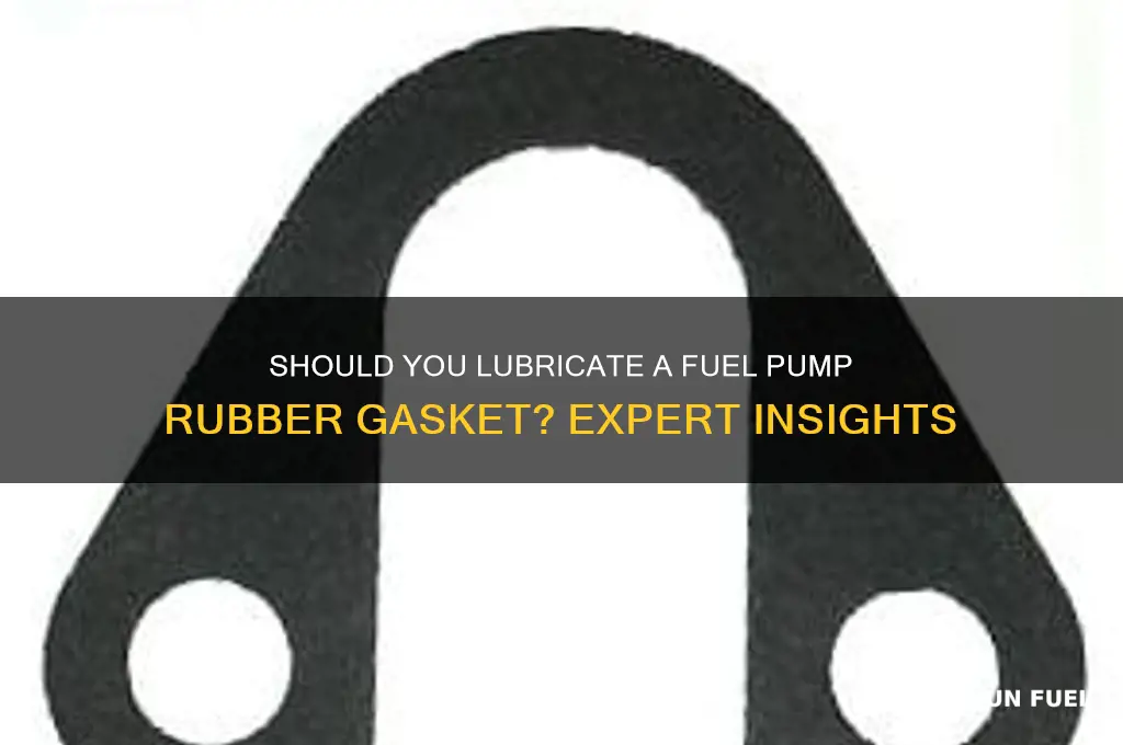 does fuel pump rubber gasket require lubricant