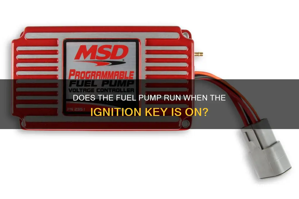 does fuel pump run with key on