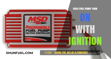 Does the Fuel Pump Activate When You Turn the Ignition?