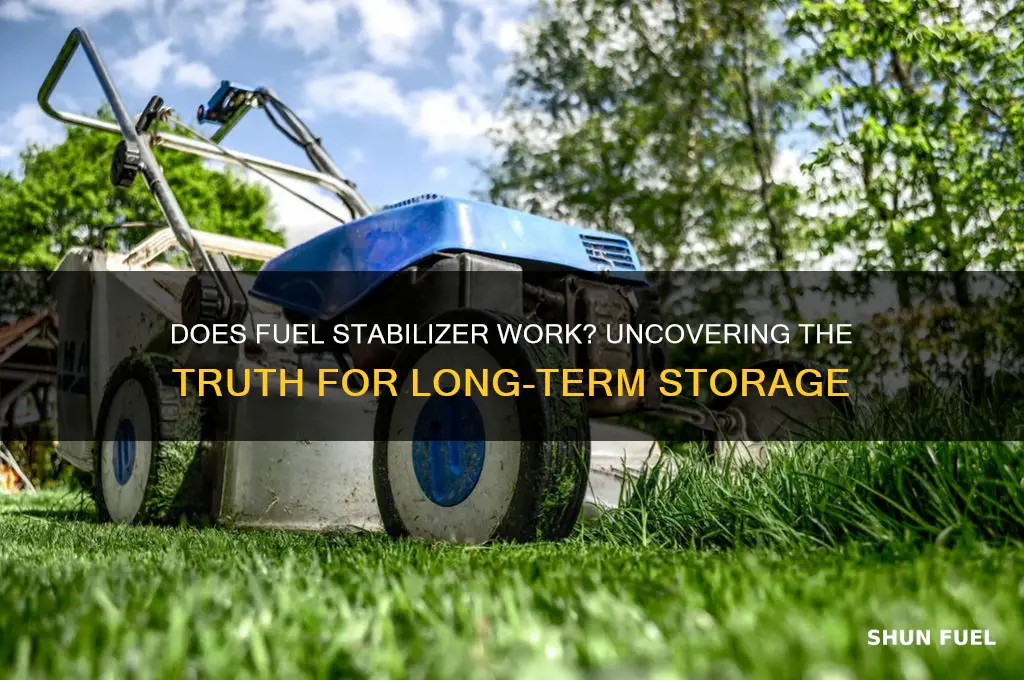 does fuel stabilizer actually work