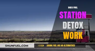 Fuel Station Detox: Fact or Fiction? Uncovering the Truth