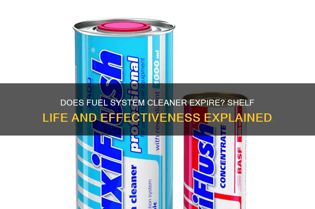 does fuel system cleaner expire